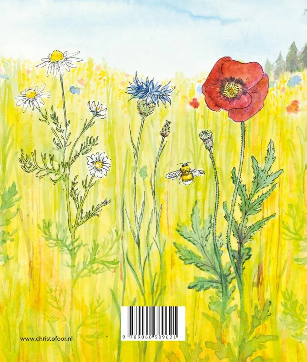 Miniatuur 2