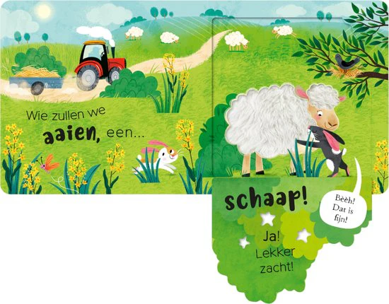 Miniatuur 3