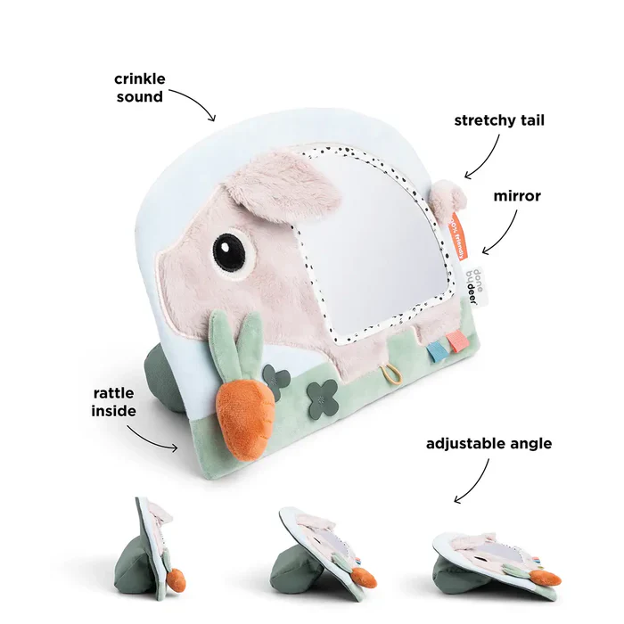 Miniatuur 5