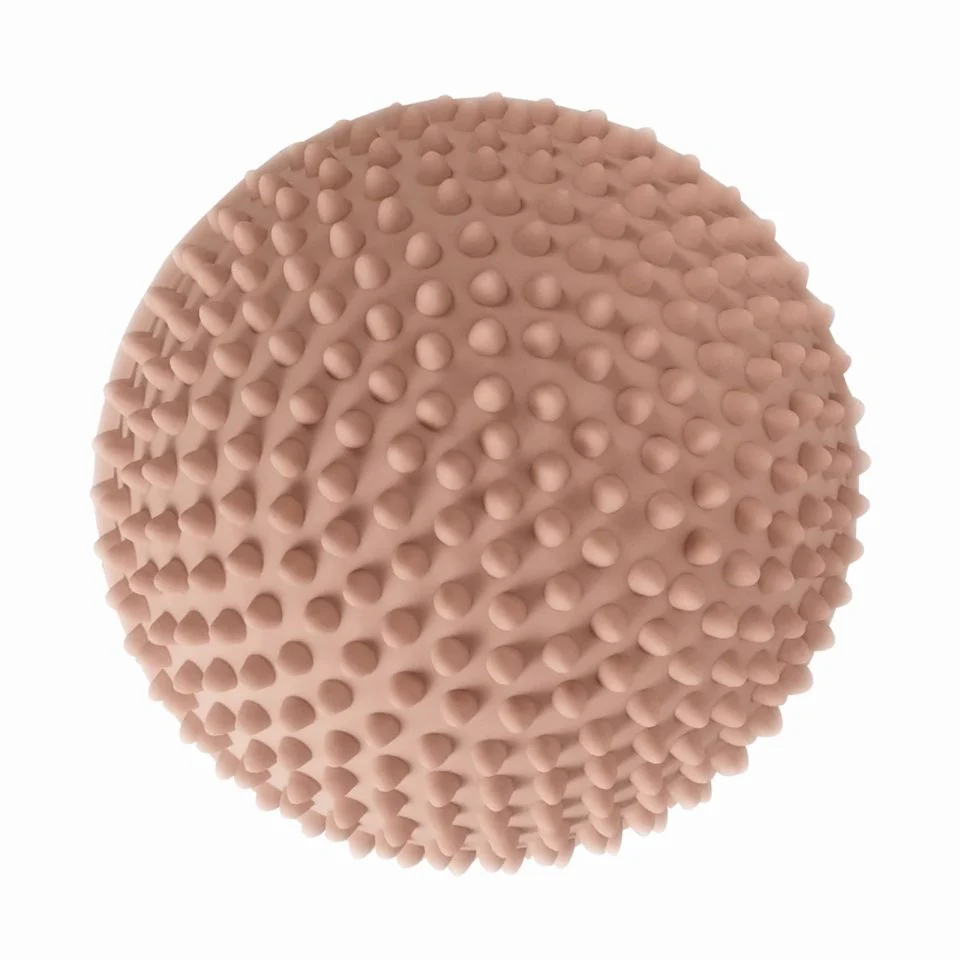 Miniatuur 6