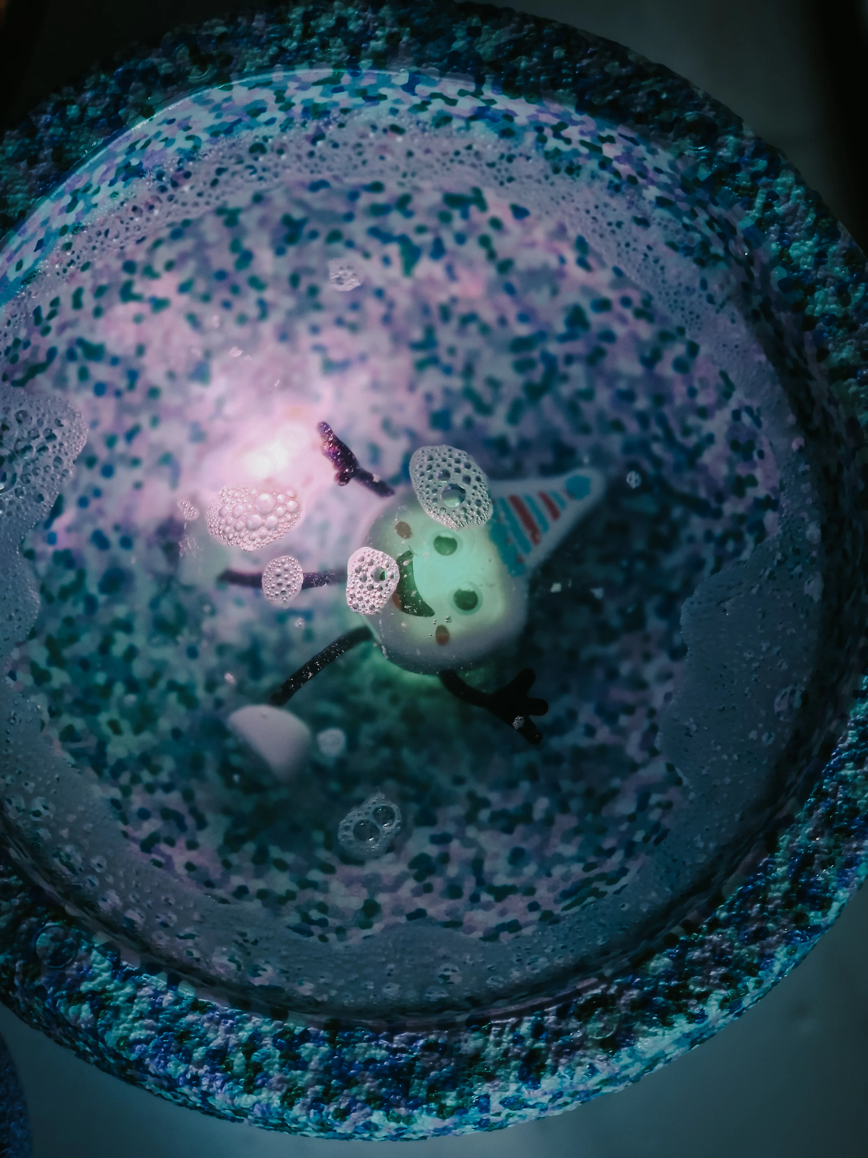 Miniatuur 5