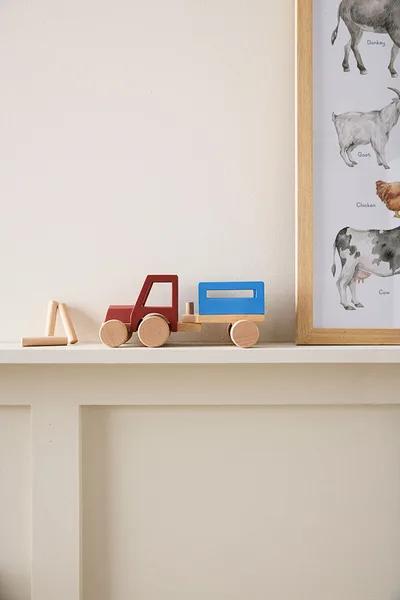 Miniatuur 5