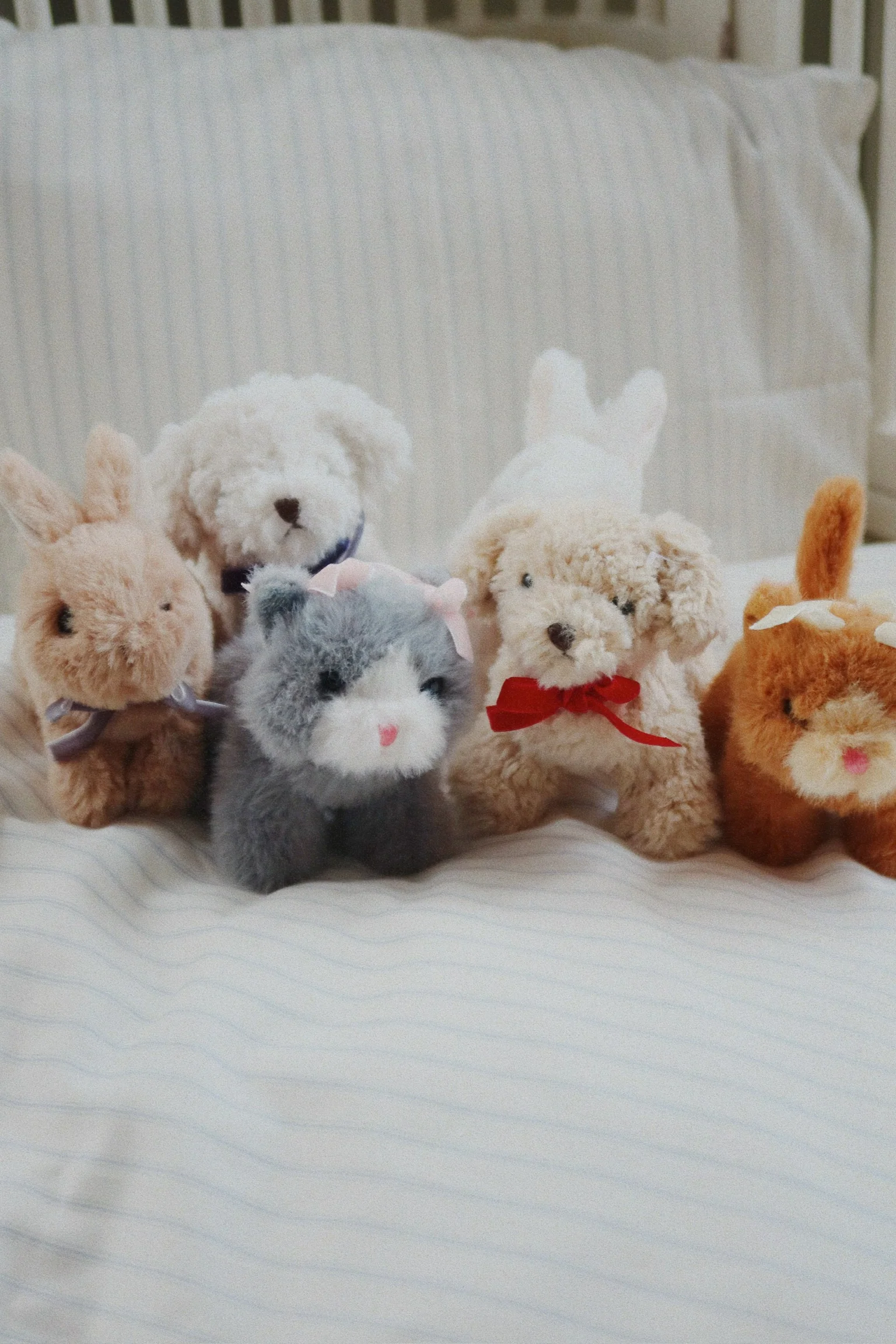 Miniatuur 3