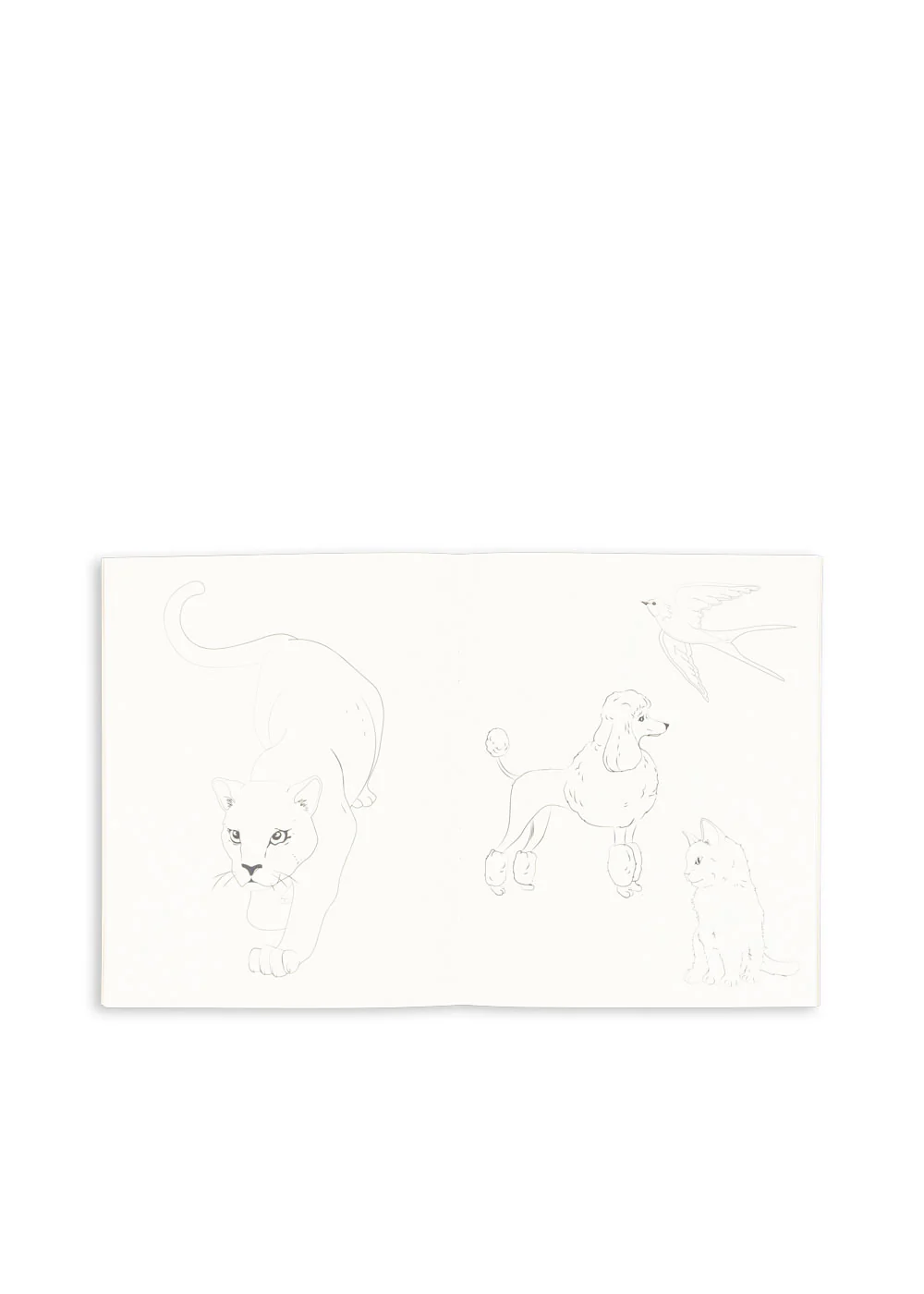 Miniatuur 4