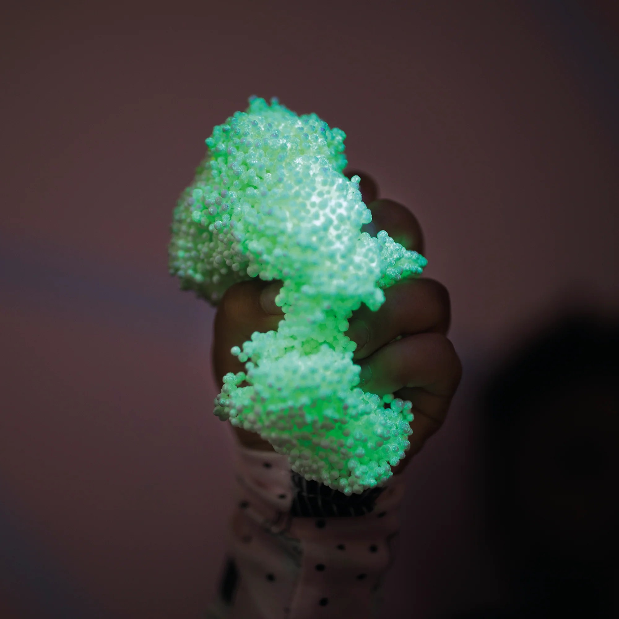 Miniatuur 6