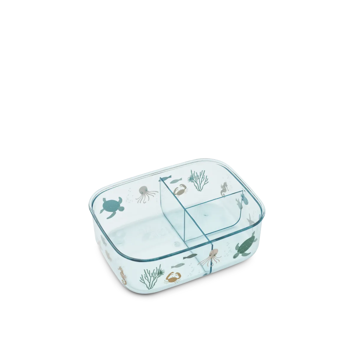 Miniatuur 2