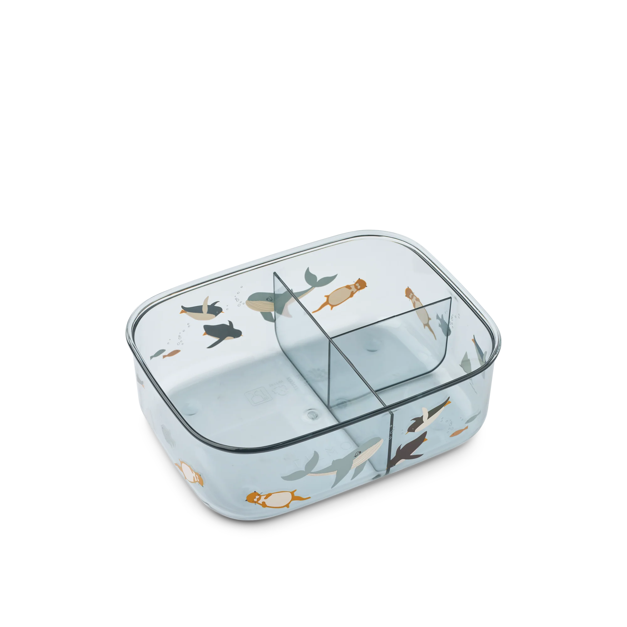 Miniatuur 2
