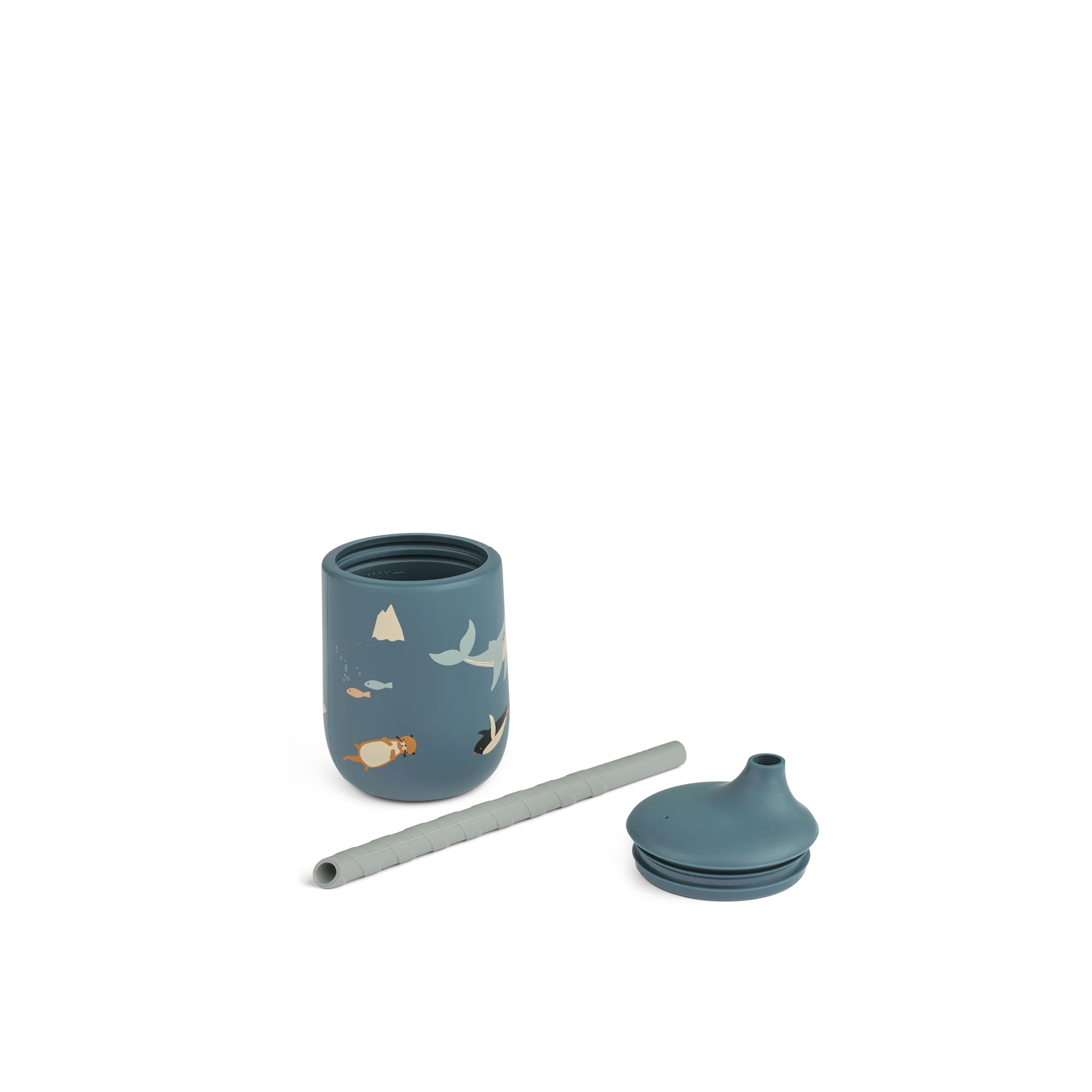 Miniatuur 2