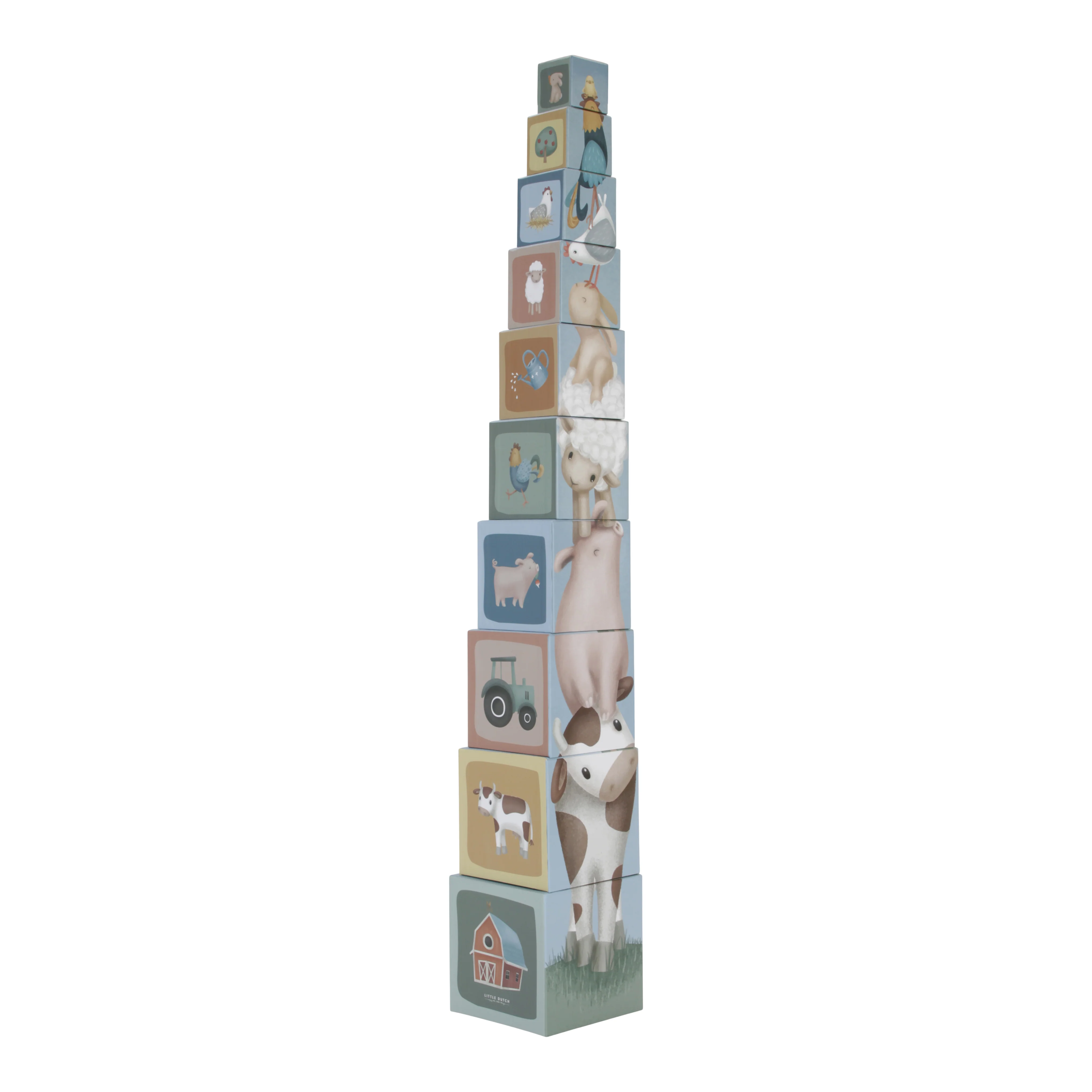 Miniatuur 11