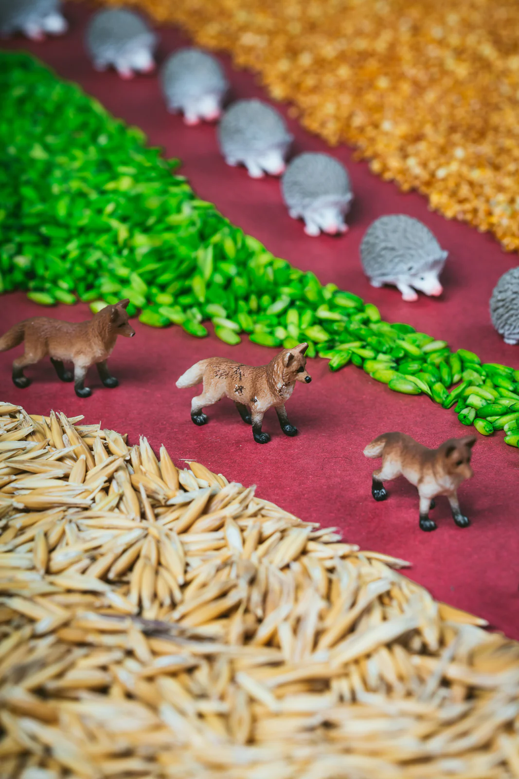 Miniatuur 3