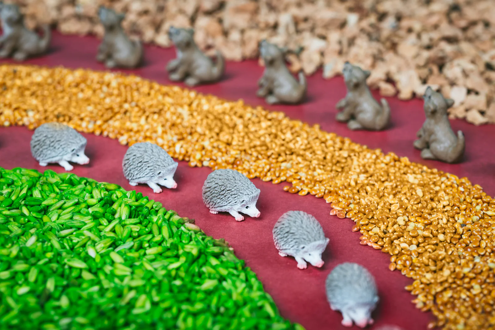 Miniatuur 4