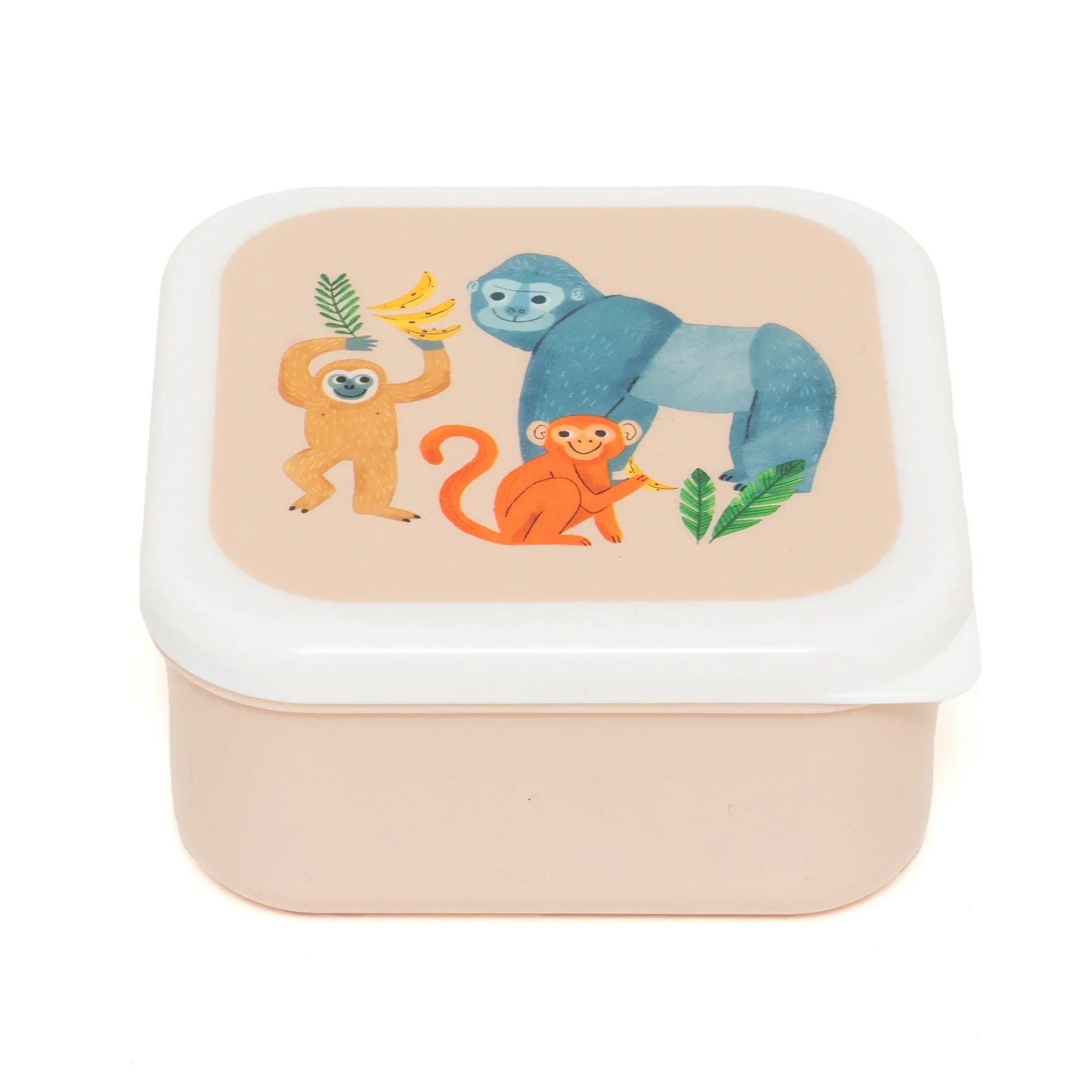 Miniatuur 4