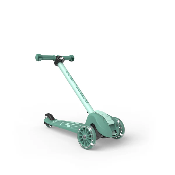 Miniatuur 10
