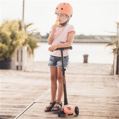 Miniatuur 4