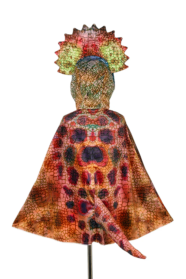 Miniatuur 2