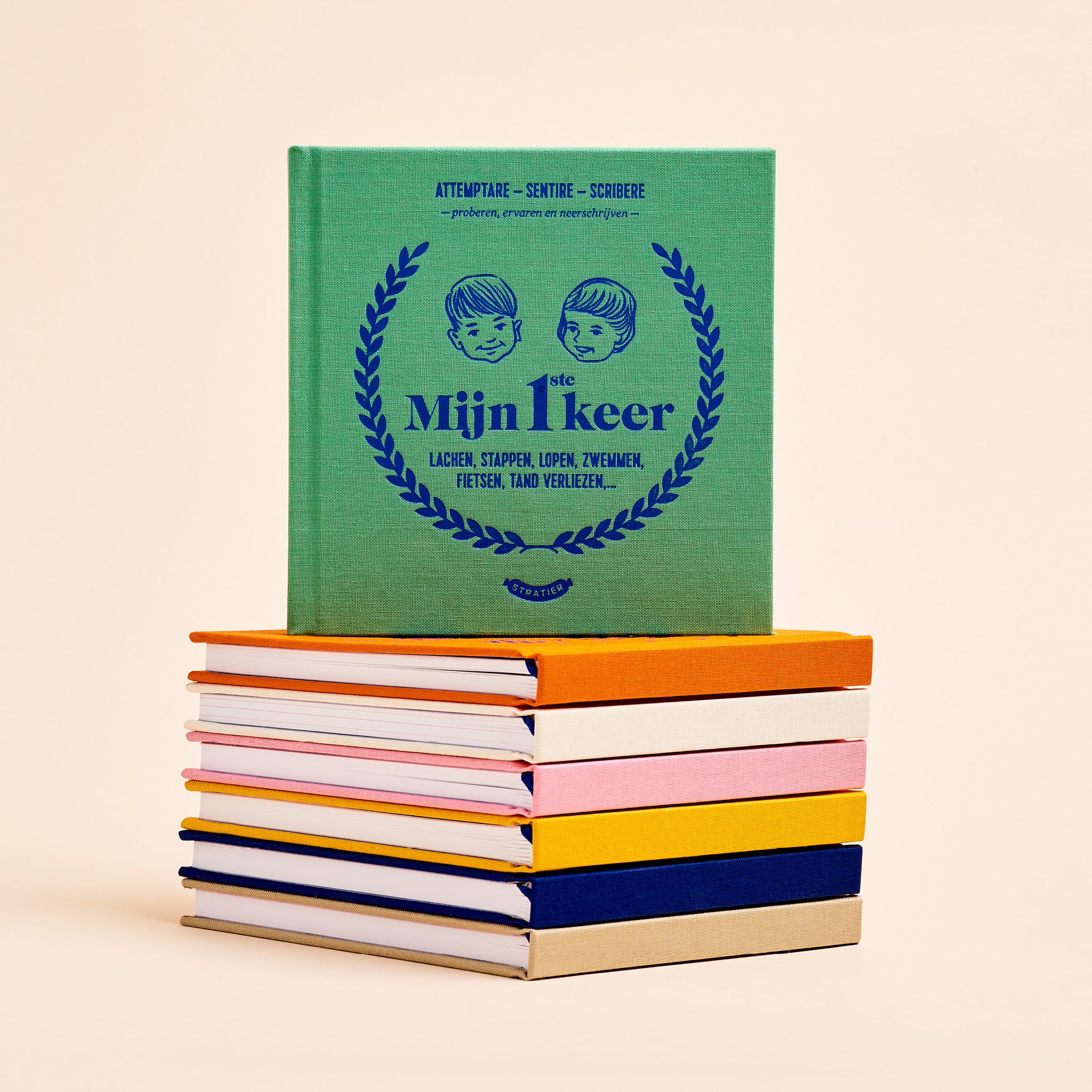 Miniatuur 6