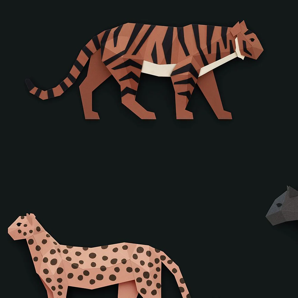 Miniatuur 4