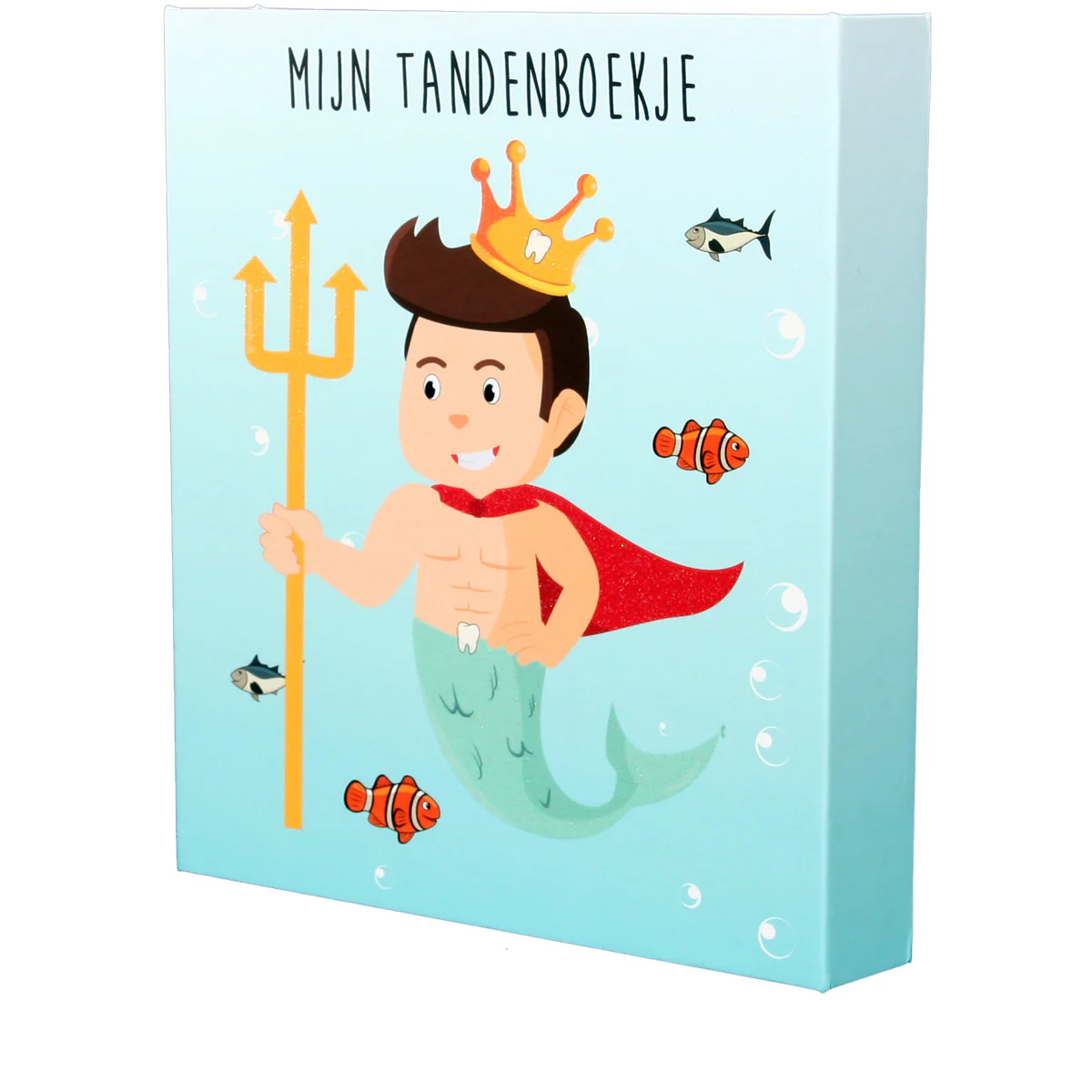 Miniatuur 5