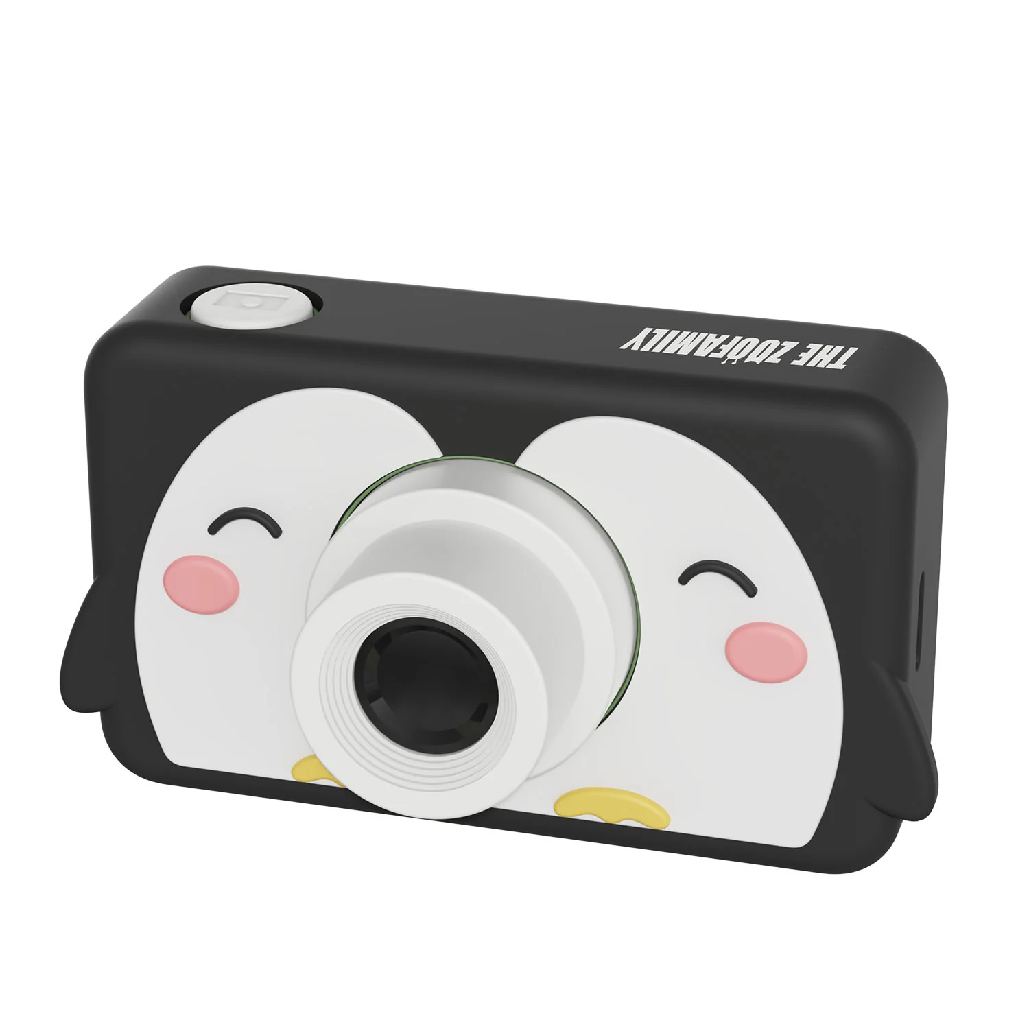 Miniatuur 6