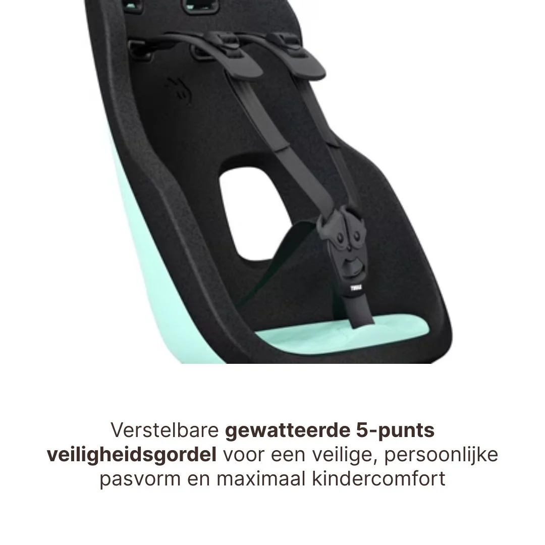Miniatuur 9