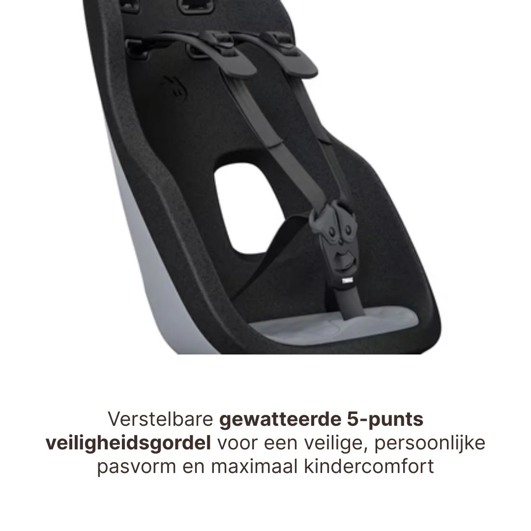 Miniatuur 8