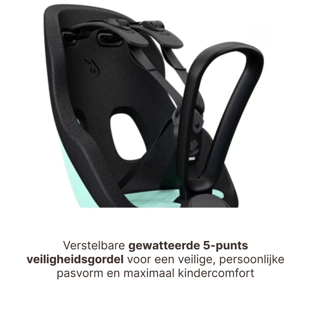 Miniatuur 8