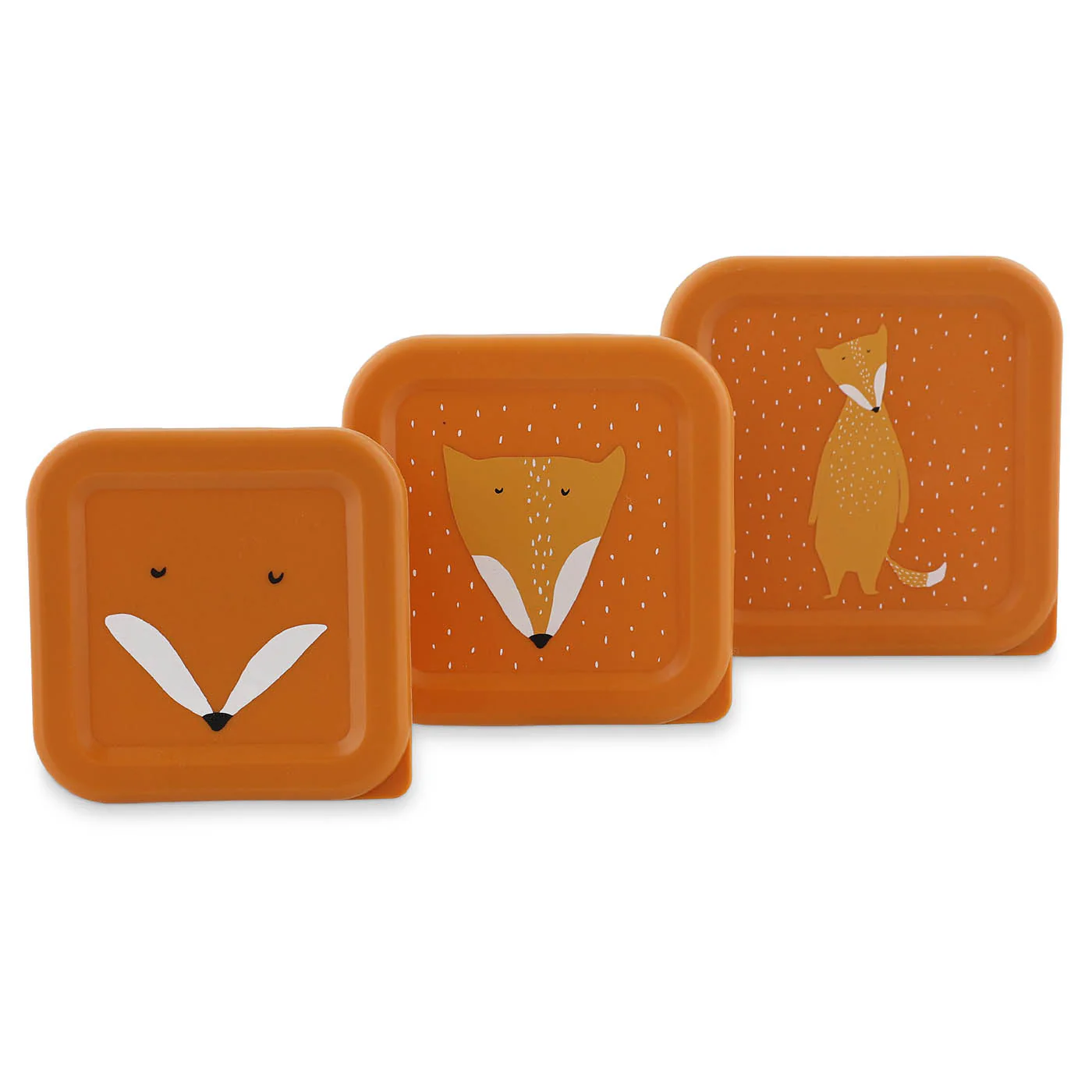 Miniatuur 2