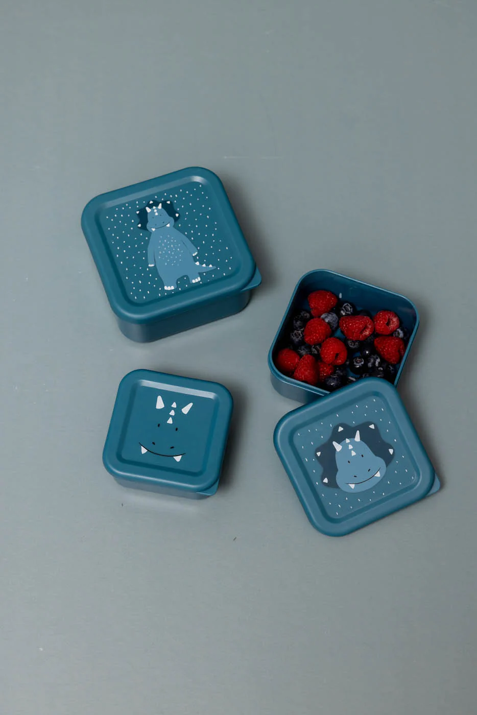 Miniatuur 7