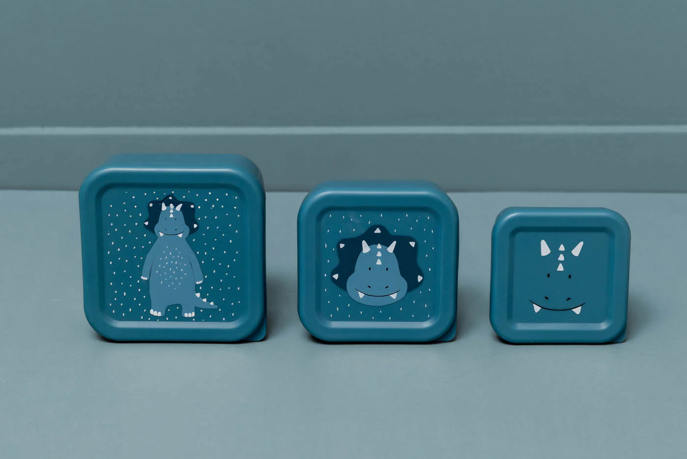 Miniatuur 8
