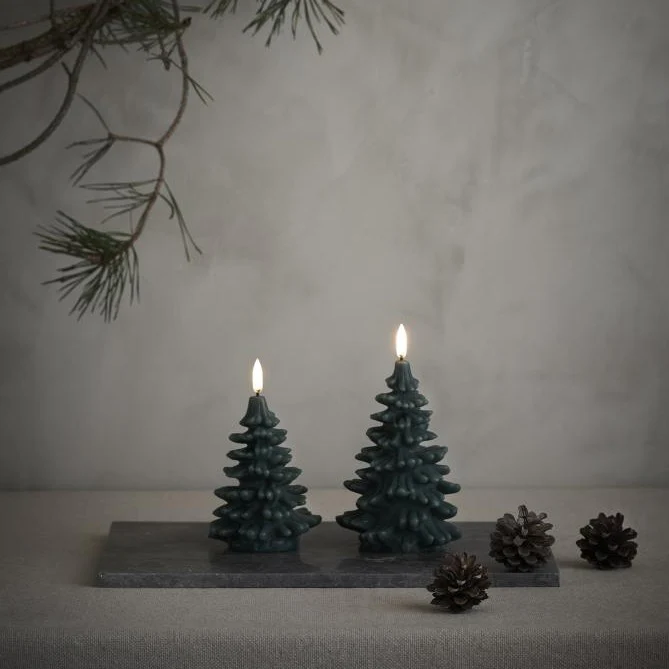 Miniatuur 2
