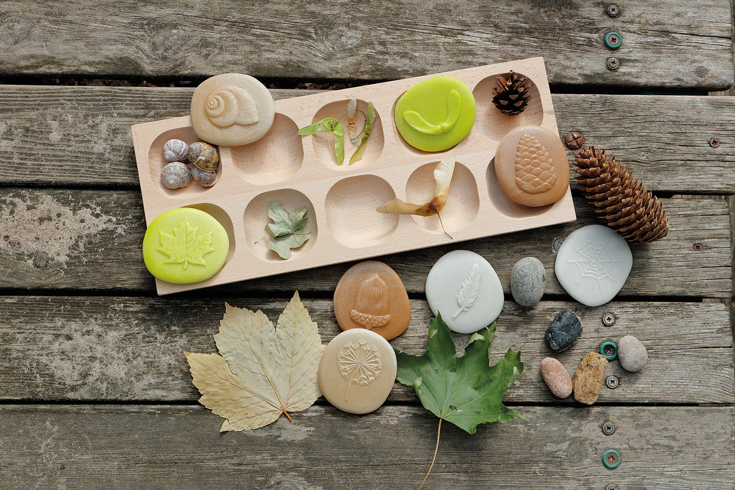 Miniatuur 5