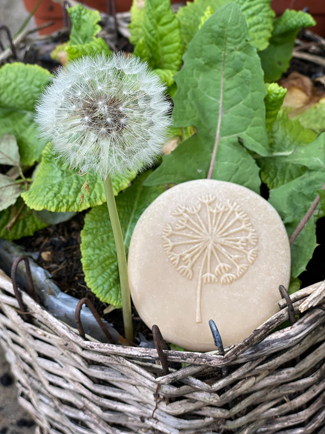 Miniatuur 8